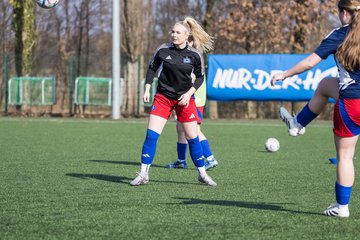 Bild 90 - F Hamburger SV 3 - Blau-Weiss 96 : Ergebnis: 5:1